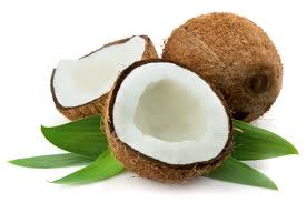 Manufacturers Exporters and Wholesale Suppliers of Coconut 1 MADURAI Tamil Nadu